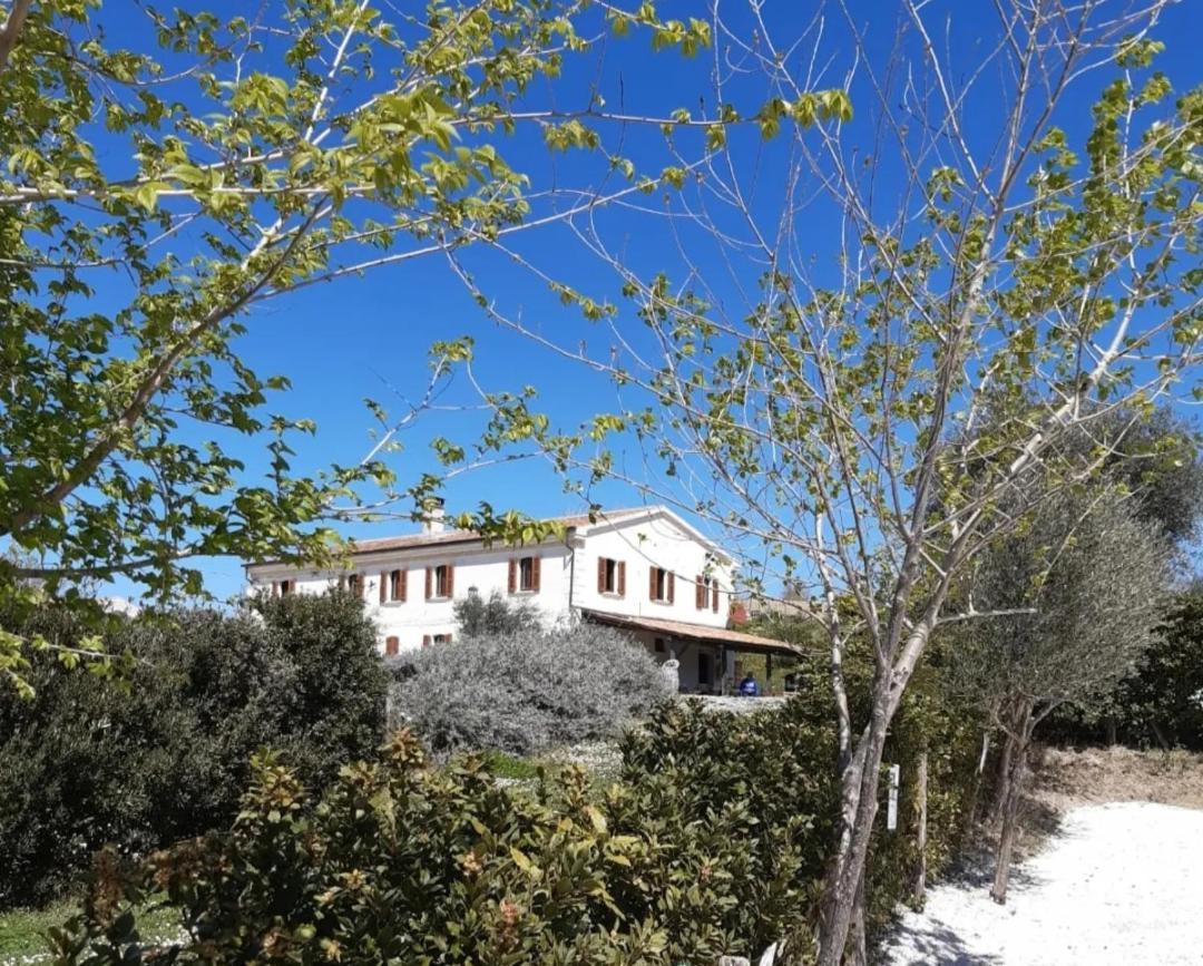 Gasthaus Rustico Del Bozzo Castelleone di Suasa Exterior foto