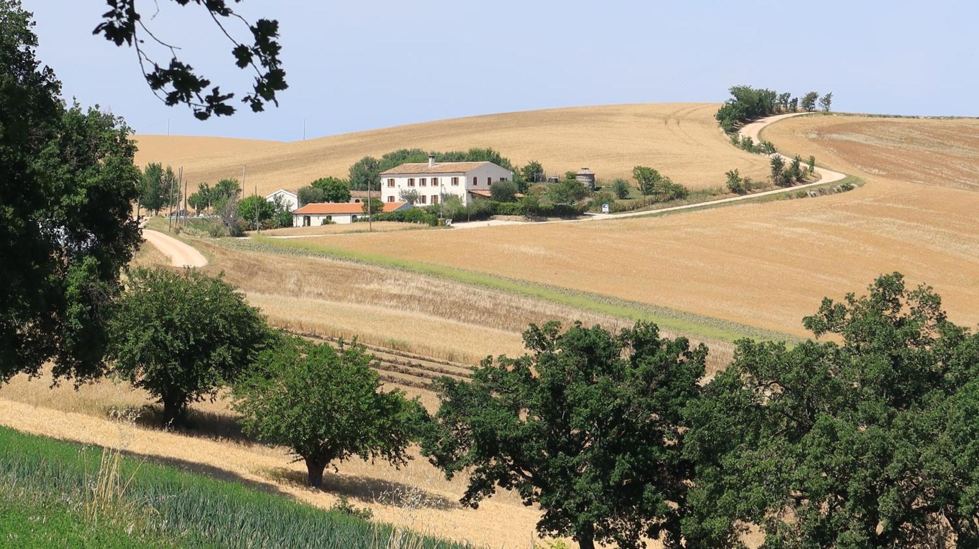 Gasthaus Rustico Del Bozzo Castelleone di Suasa Exterior foto